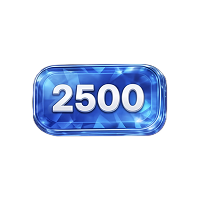 2 500